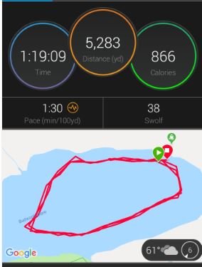 Circuit