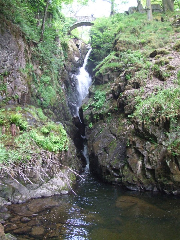 DSCF0688