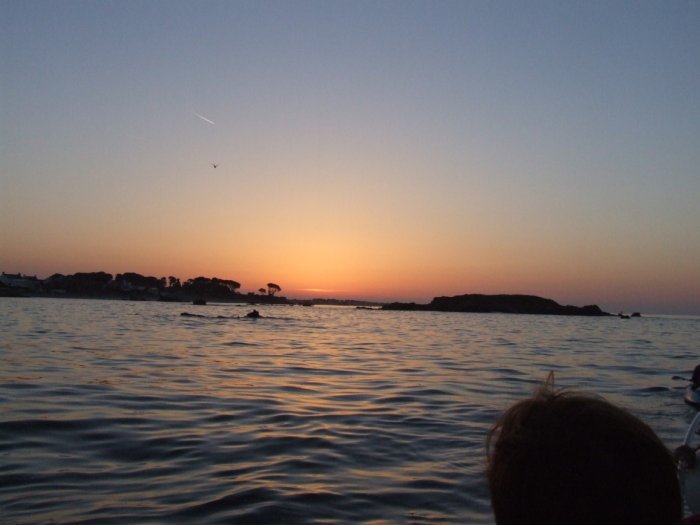 DSCF0990