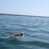 DSCF1085