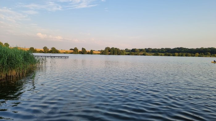 IMG-20220719-WA0000