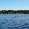 IMG-20220726-WA0001