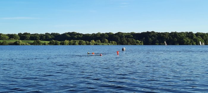 IMG-20220726-WA0001