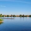 IMG-20220809-WA0002