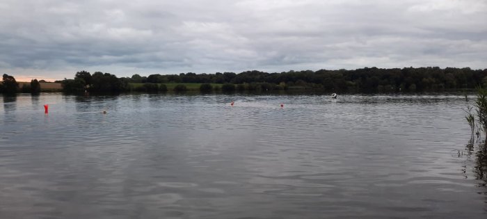 IMG-20220823-WA0000